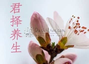 君择养生