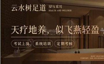 云水树足疗spa养生会所