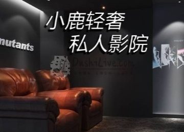 小鹿轻奢私人影院