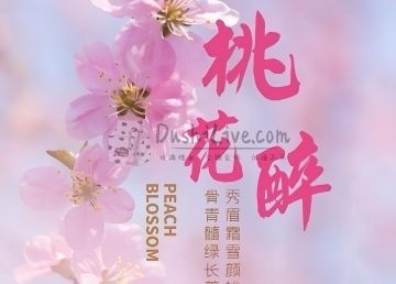 桃花醉SPA会馆