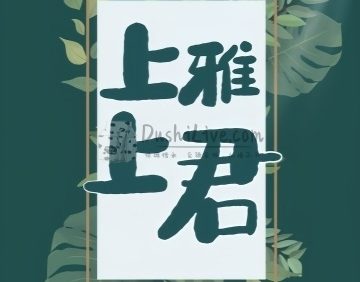 上上雅君