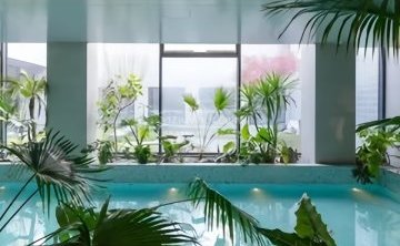 禧泉 Joyous Spring