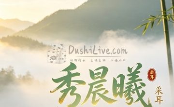 秀晨曦采耳