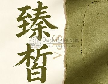 臻皙SPA