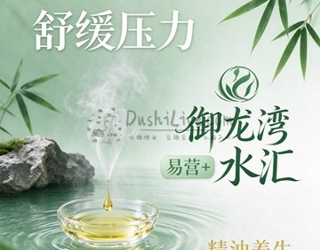 御龙湾水汇·易营+